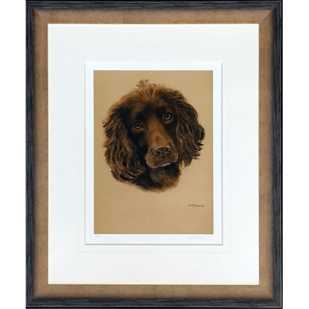 Cocker-spaniel-by-Evelyn-Christie-2 copy