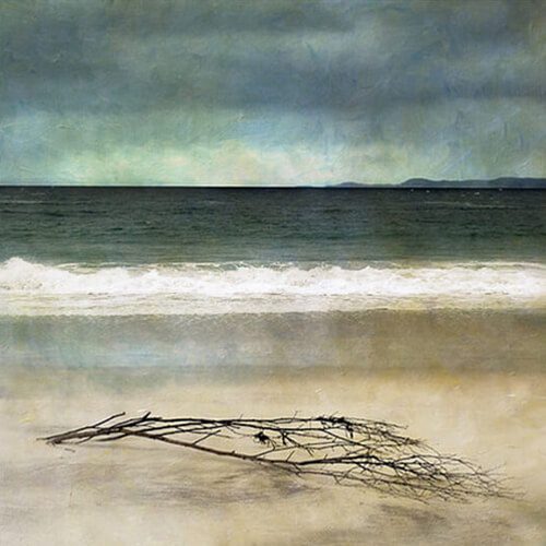 Driftwood-by-Cath-Water