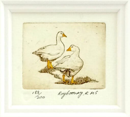 Etching Ducks