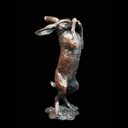 Hare Preening
