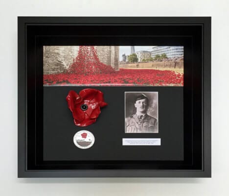Framing Example Tower of London Poppies