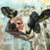 Curious Cow