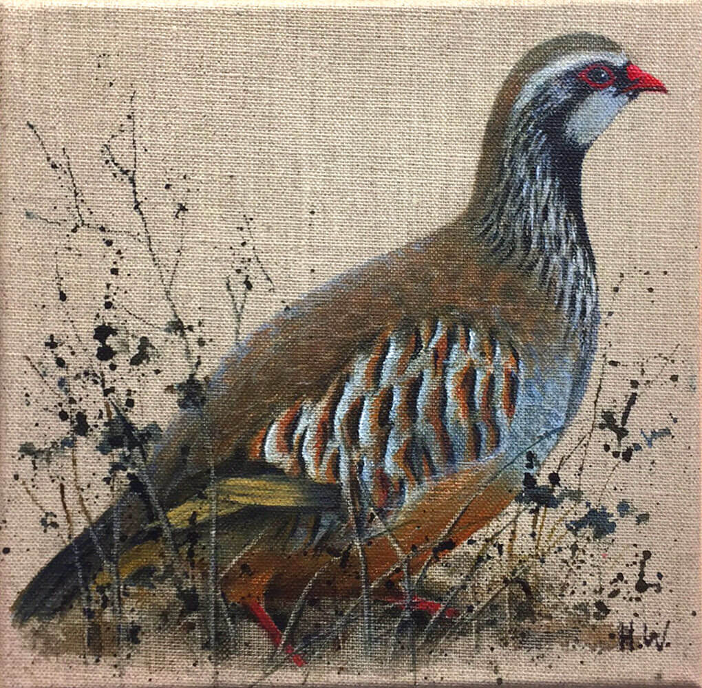 French Partridge by Helen Welsh