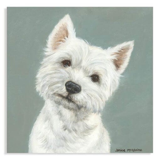 Westie by Janice McGlonie l Stretch Canvas