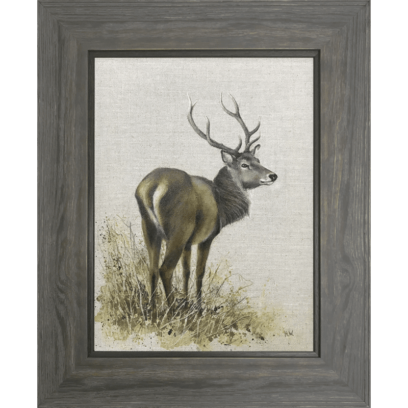 Red Deer Stag by Helen Welsh