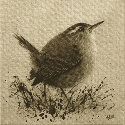 Wren by Helen Welsh