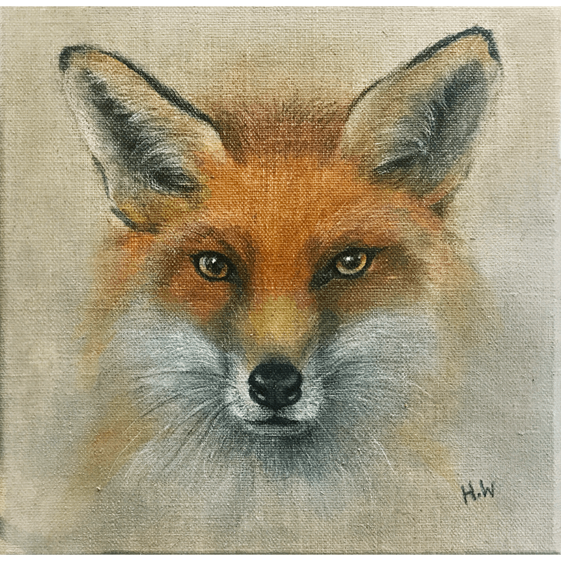 Fox by Helen Welsh