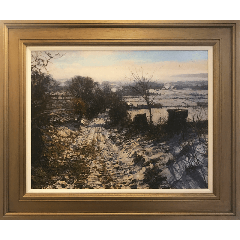 Winter Near Careston Framed