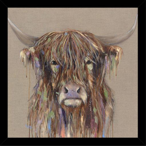 bold cow