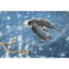 Winters Sprite