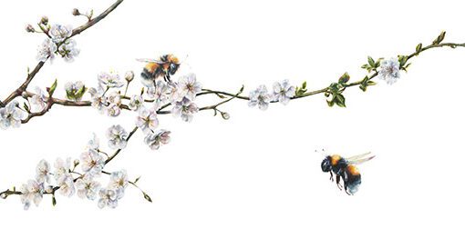In Bloom