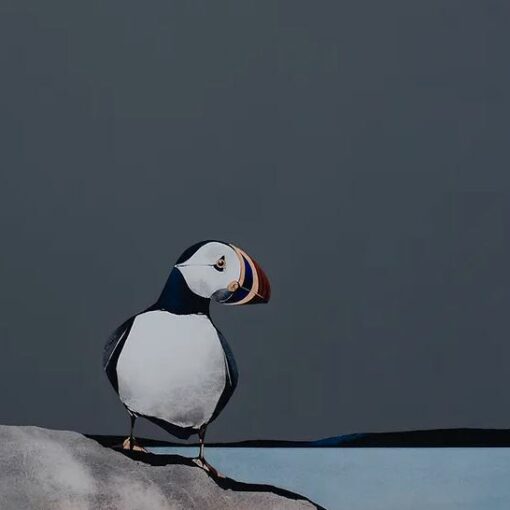 Isle oF Lunga Puffin _