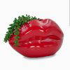 Red Lip Planter