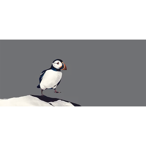 Puffin Walk