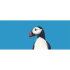Puffin Blue Sky