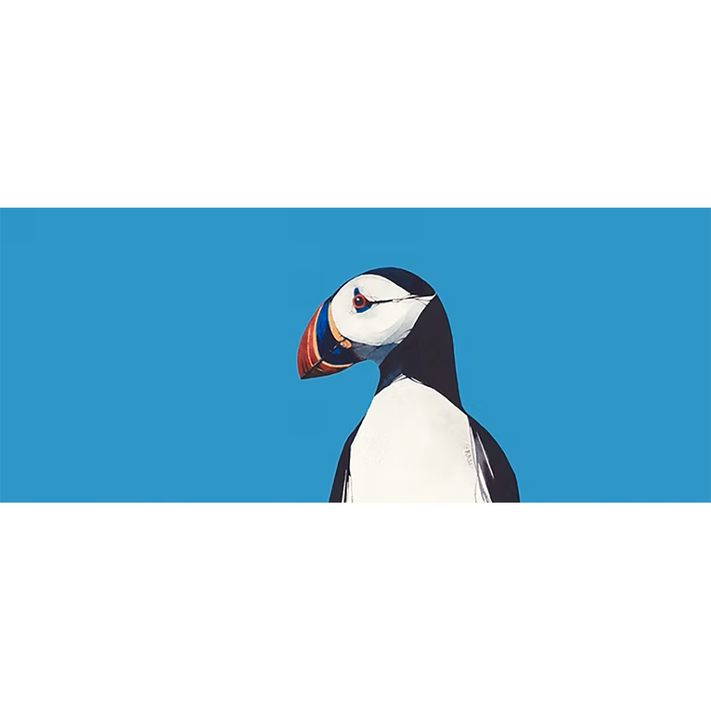 Puffin Blue Sky - Image 2