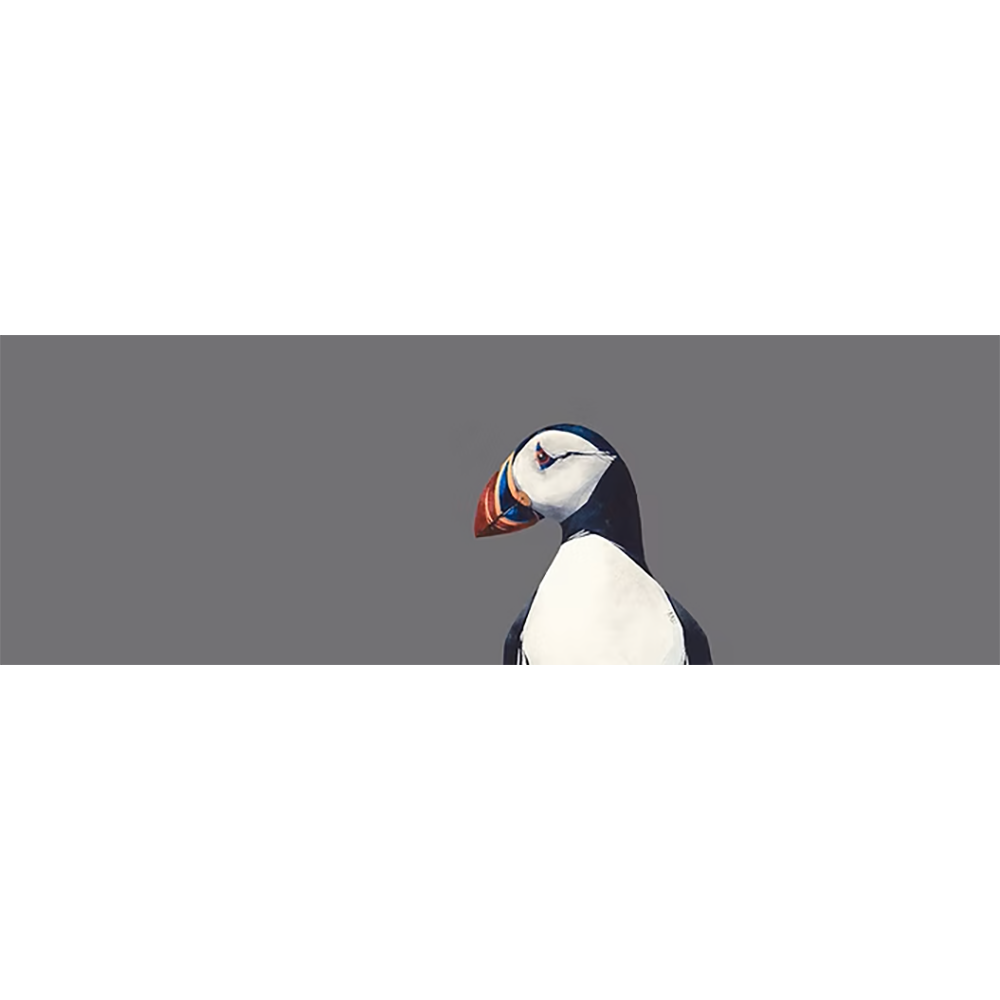 Puffin Portrait - Image 2