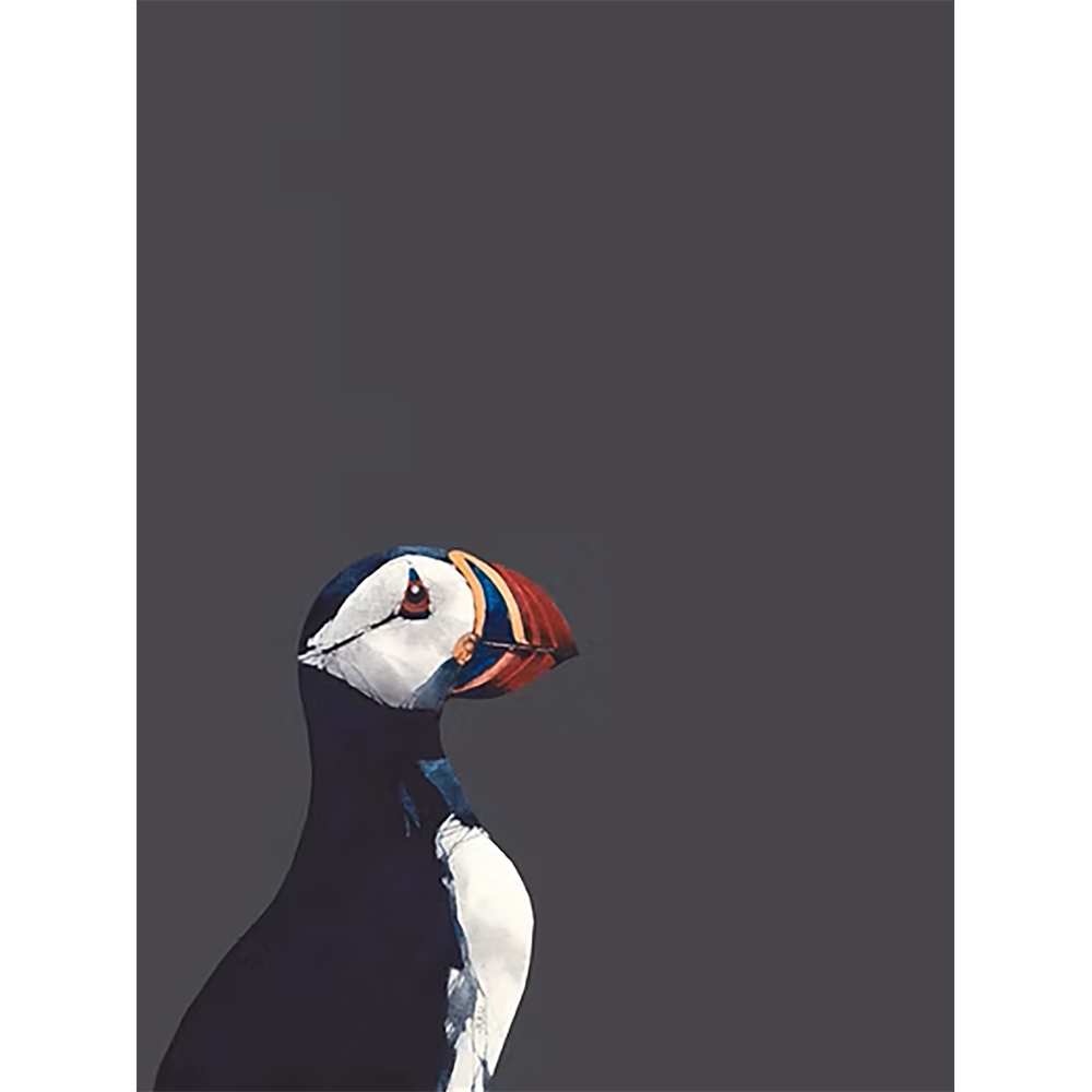Puffin Dark Sky - Image 2