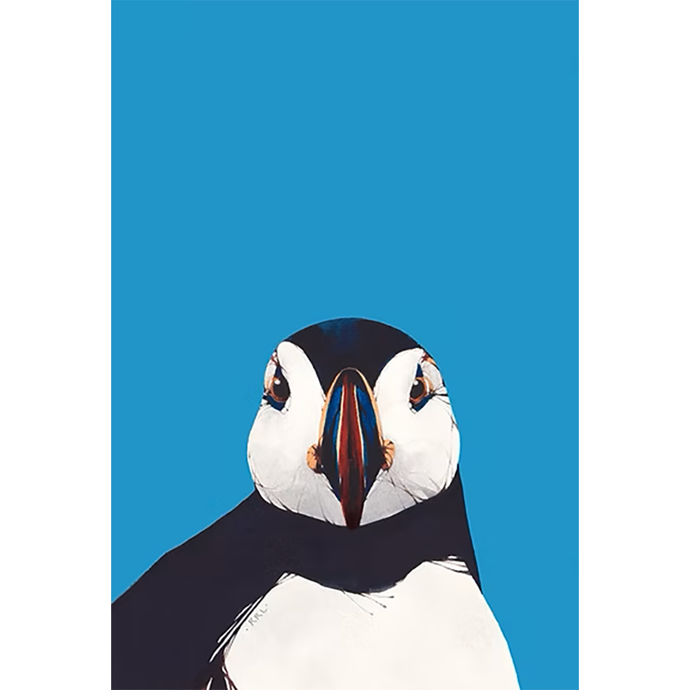 Puffin Front - Image 2