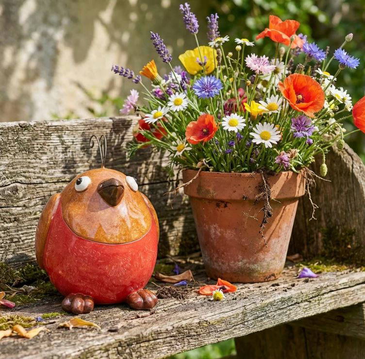 Crazy Bird - Robin - Image 2